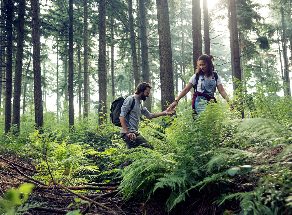 S inscrire Cambio Carsharing Bruxelles